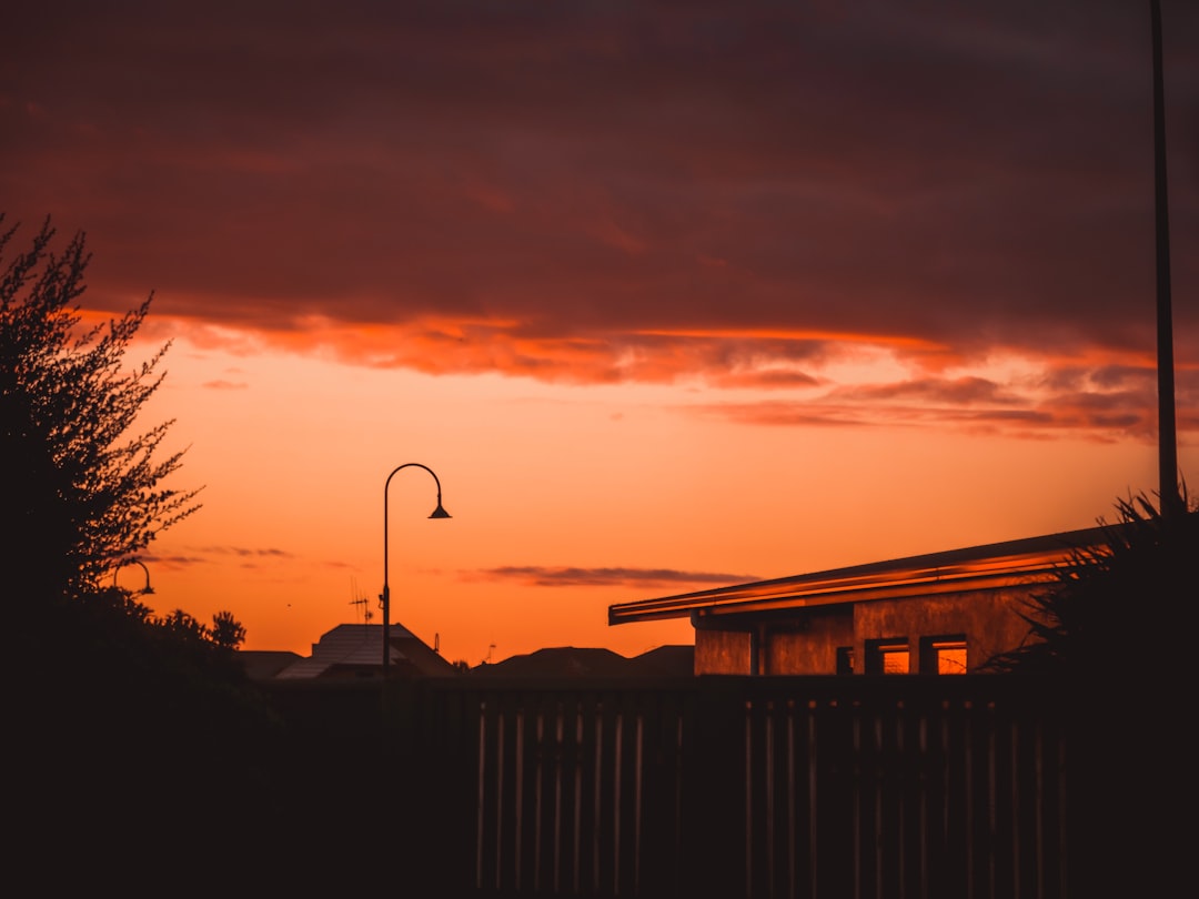 silhouette of trees and building during sunset