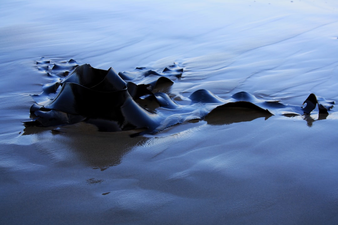 River photo spot Lakes Entrance VIC Australia