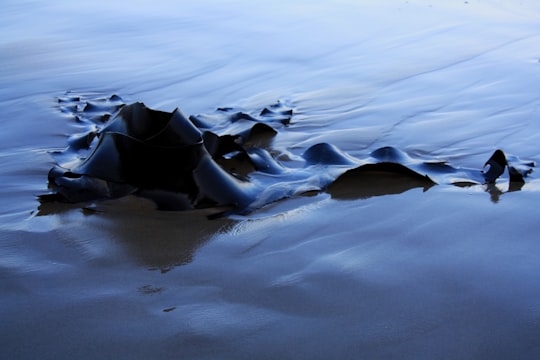 black rock formation on white snow in Lakes Entrance VIC Australia