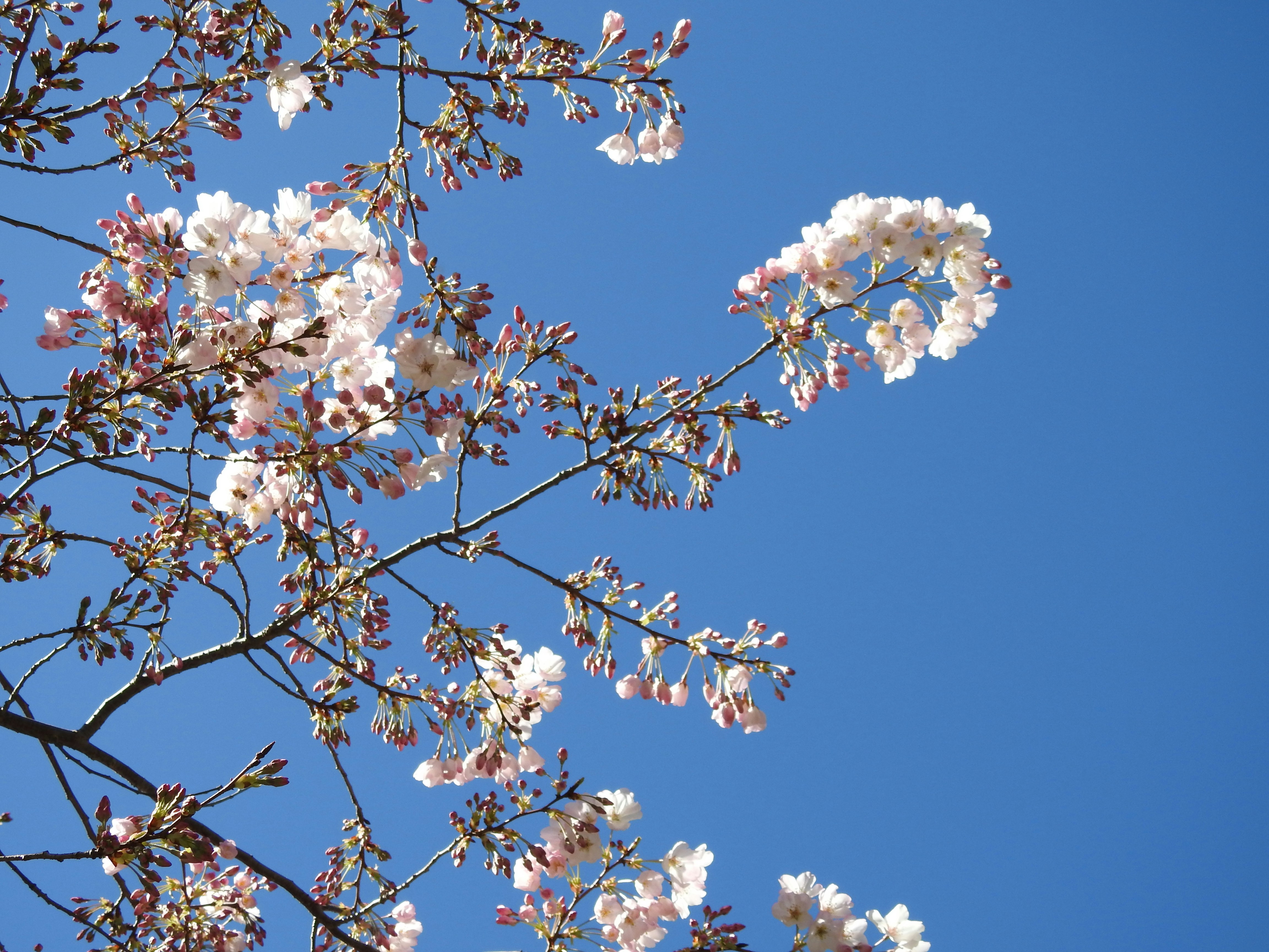 Photo by isabellaortiz