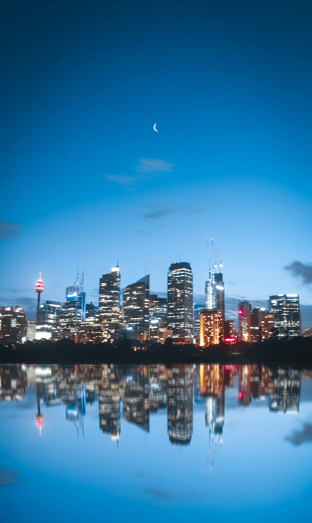 city skyline during night time