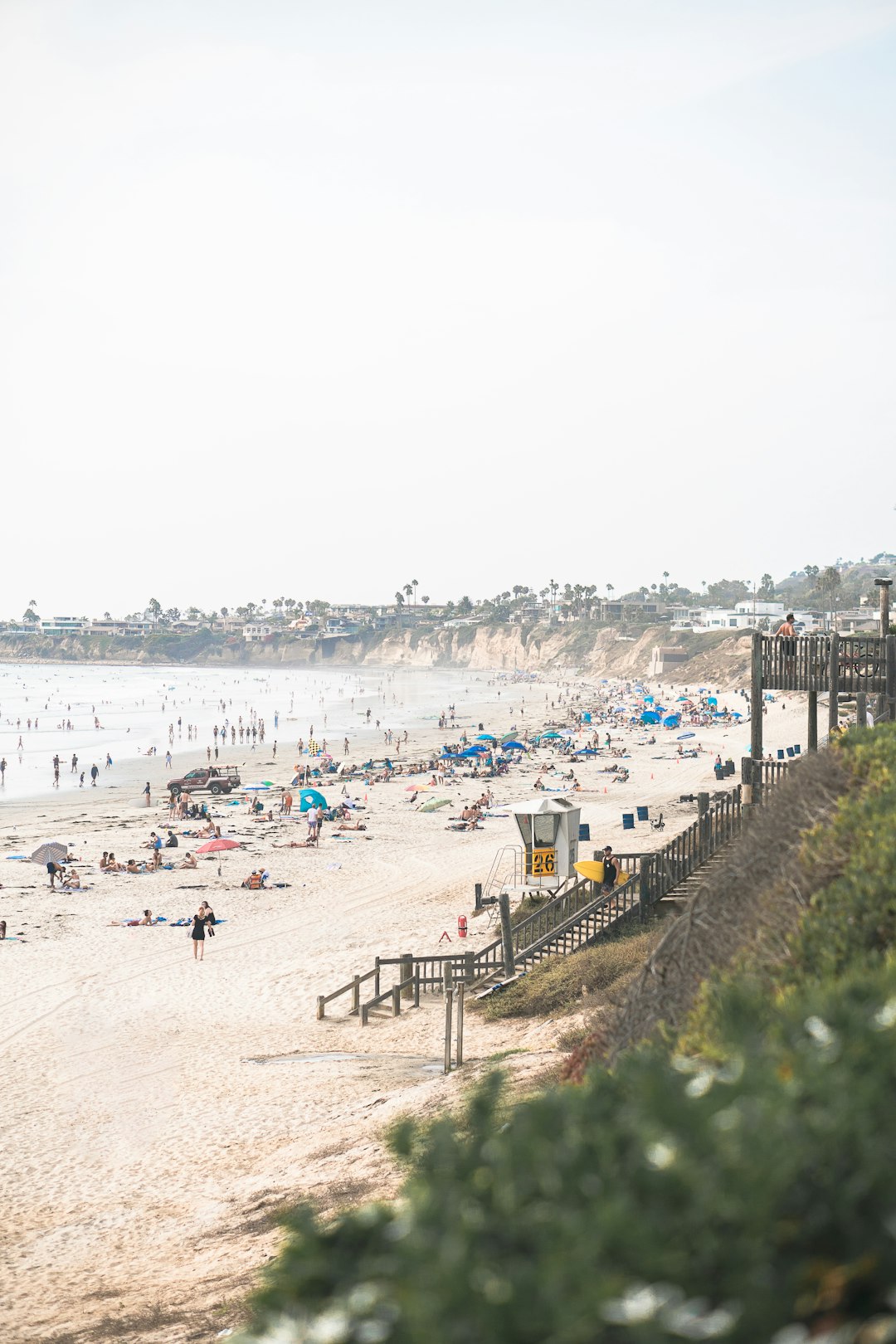 people on beach during daytime