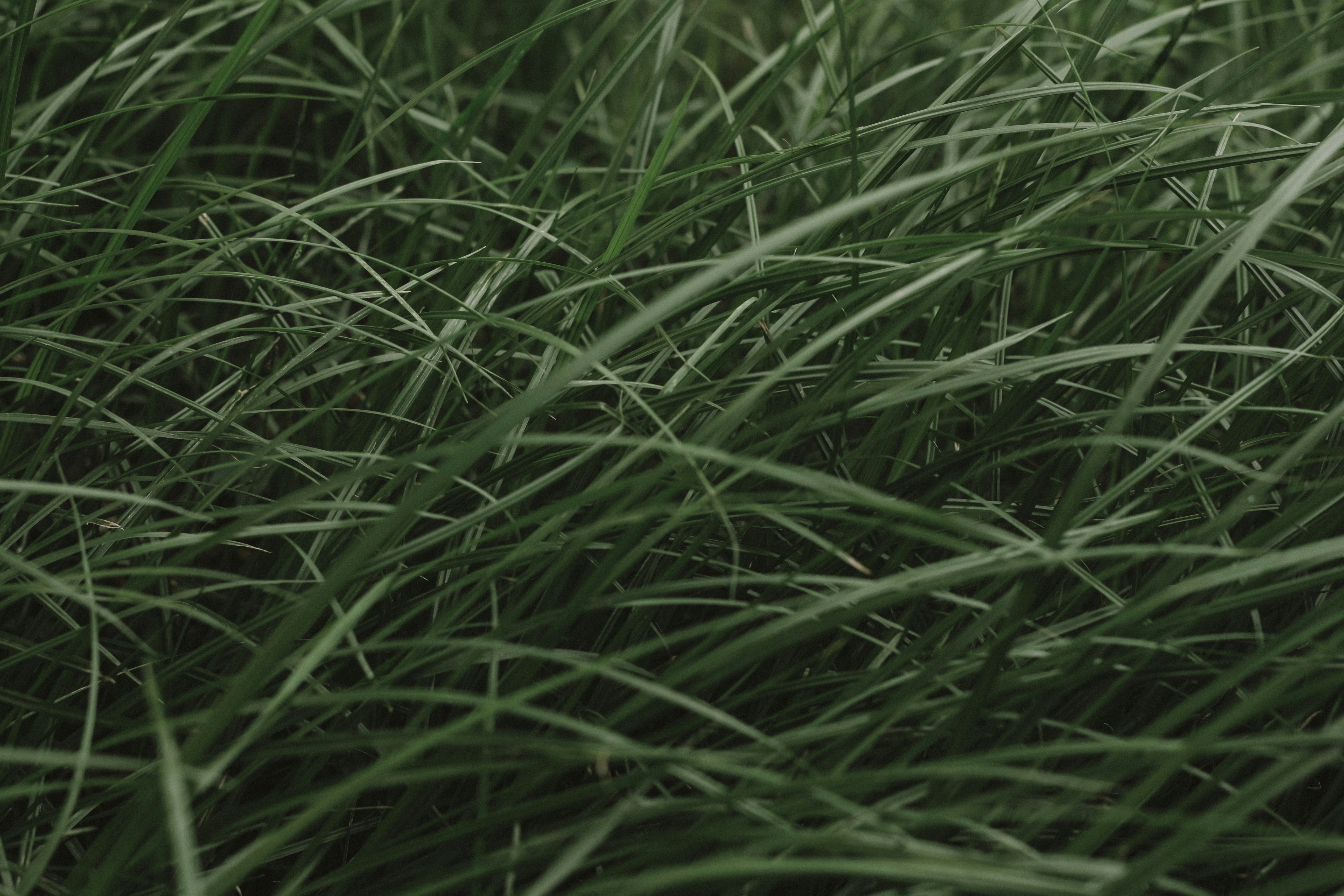 Photo by rucciphotos