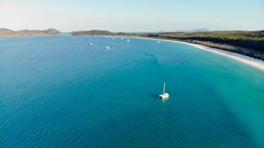 white sailboat on sea during daytime in Whitehaven Beach Australia