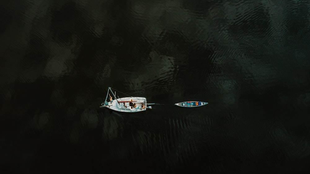 Barca bianca e blu sullo specchio d'acqua