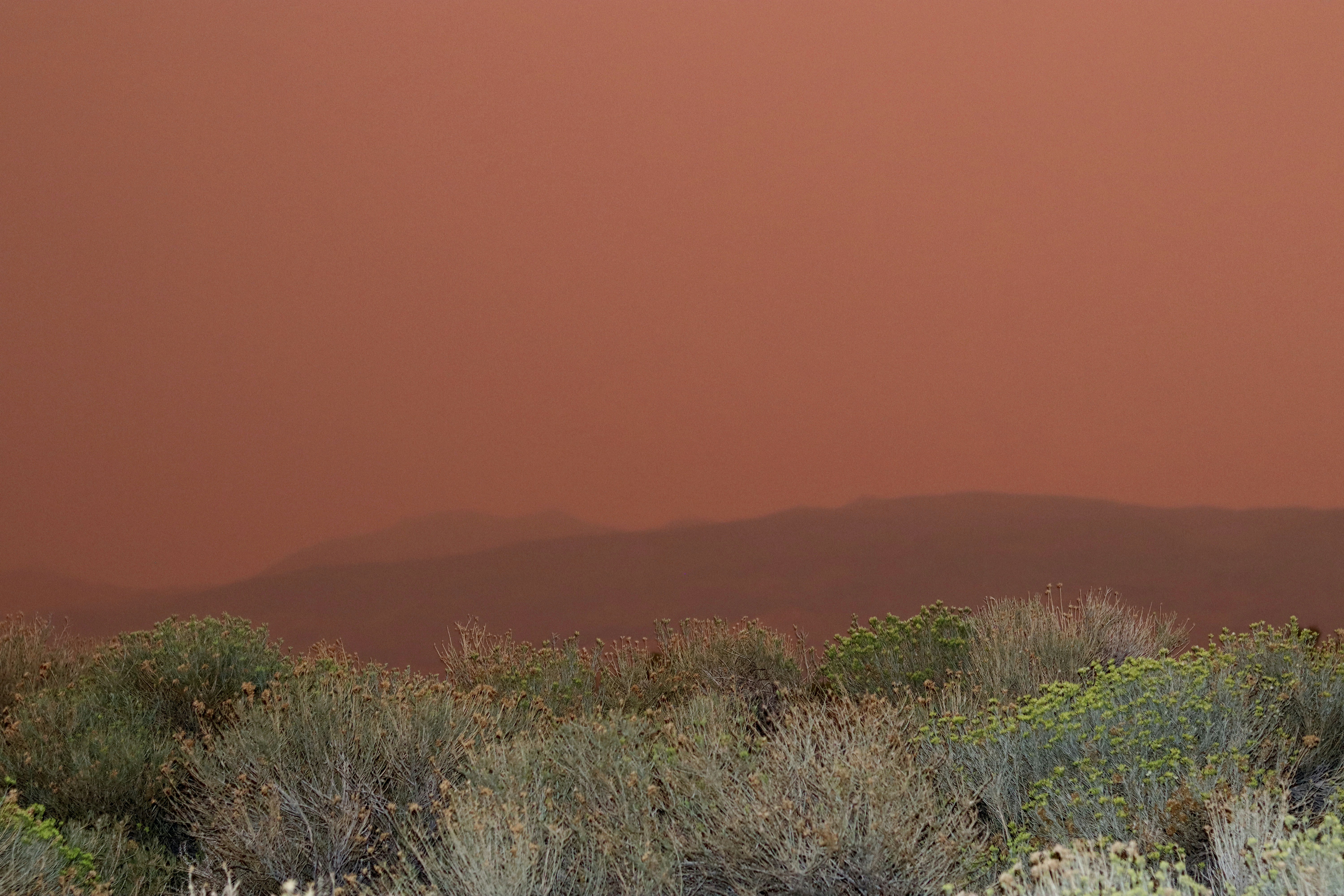 green grass and brown mountain during daytime