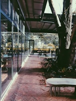 A peaceful outdoor patio with seating, surrounded by native trees and natural light.