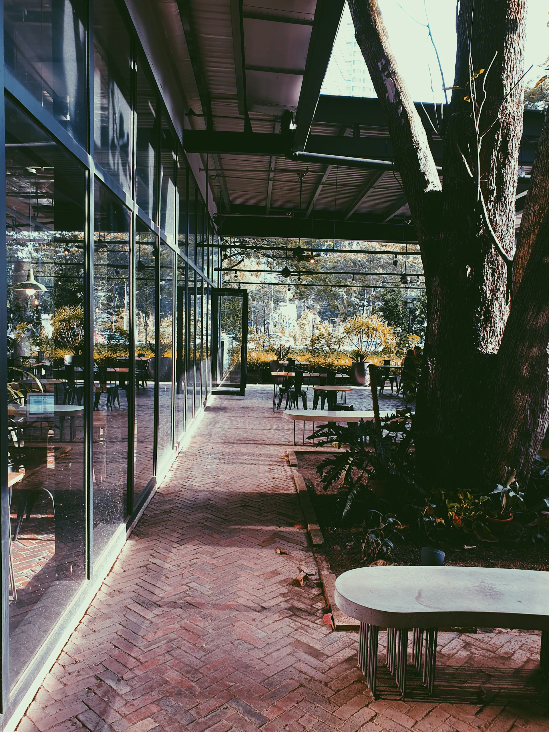 woman wearing yellow long-sleeved dress under white clouds and blue sky during daytime