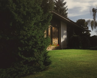 brown wooden house near green trees during daytime