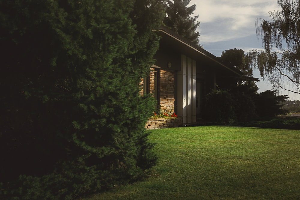 Maison en bois brun près d’arbres verts pendant la journée