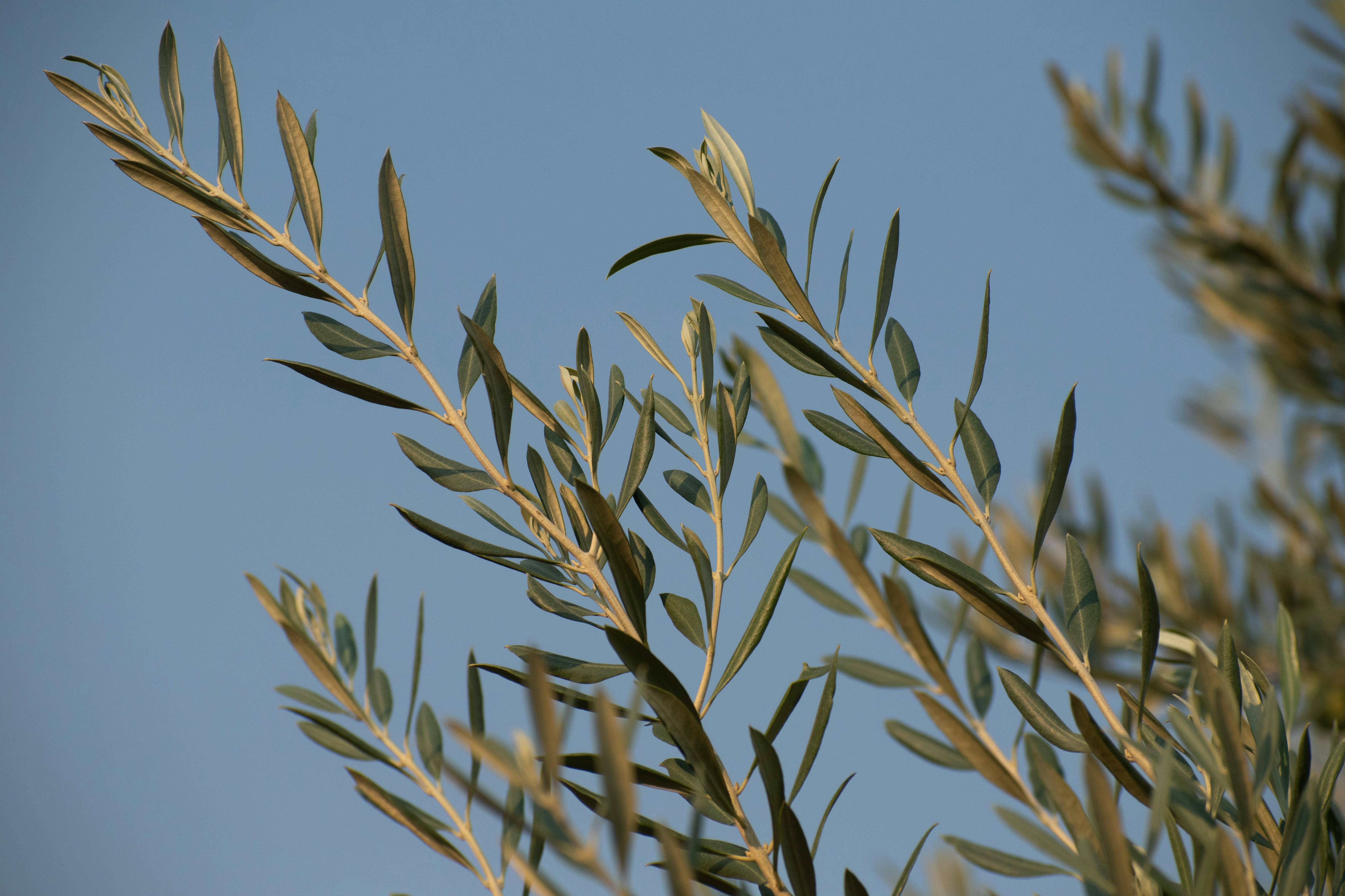 Photo by elisastonephotography