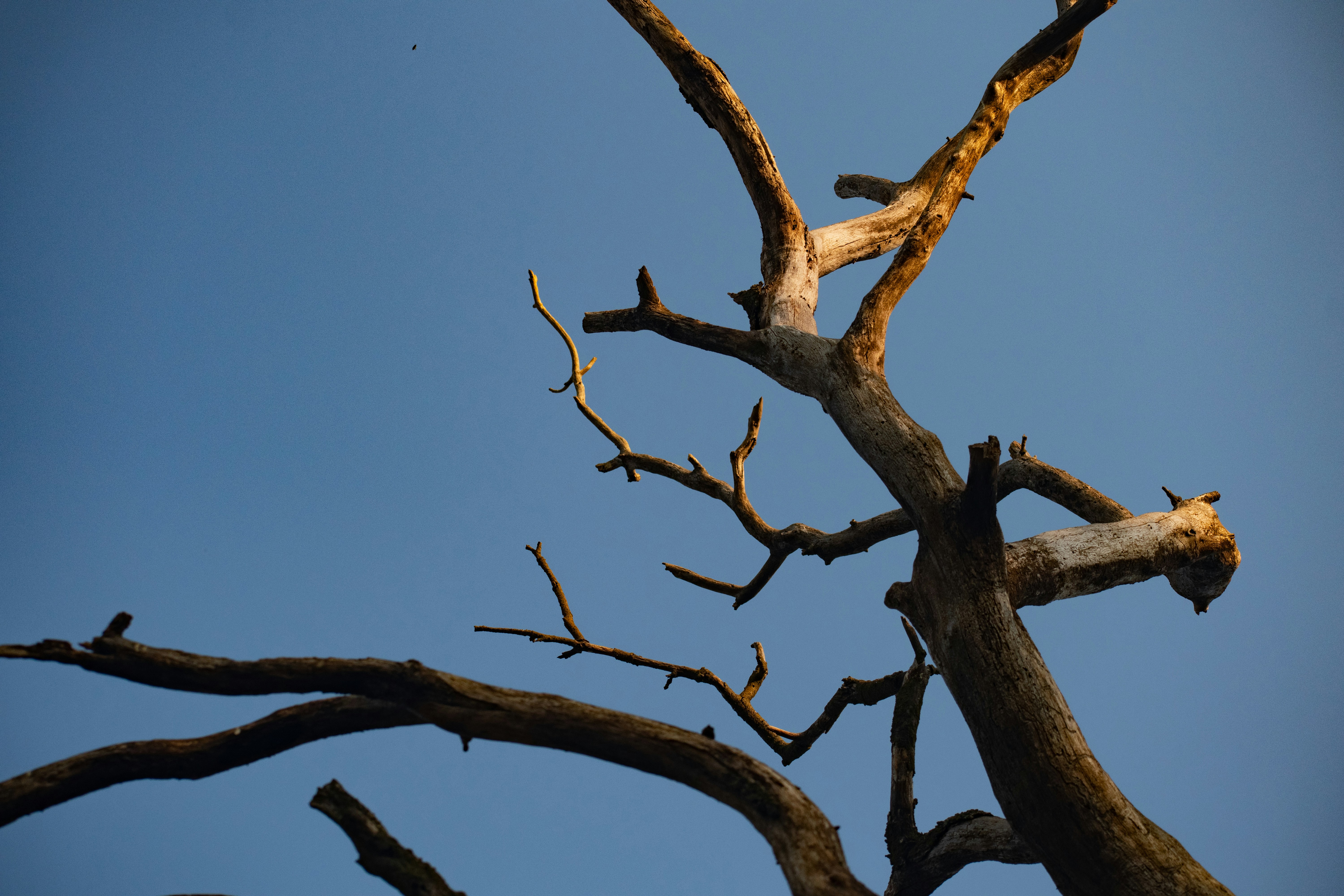 Photo by elisastonephotography