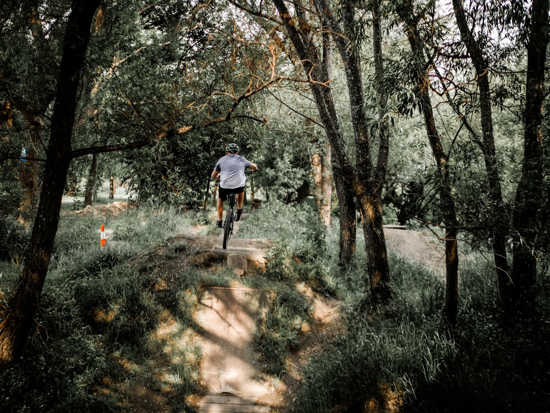 man in blue dress shirt and black pants walking on pathway between trees during daytime