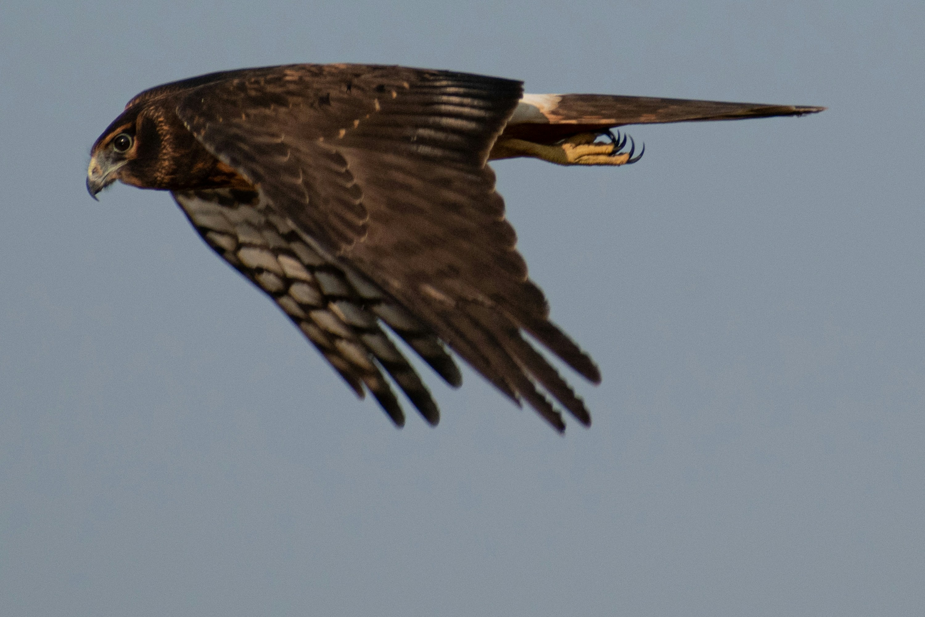 Photo by elisastonephotography