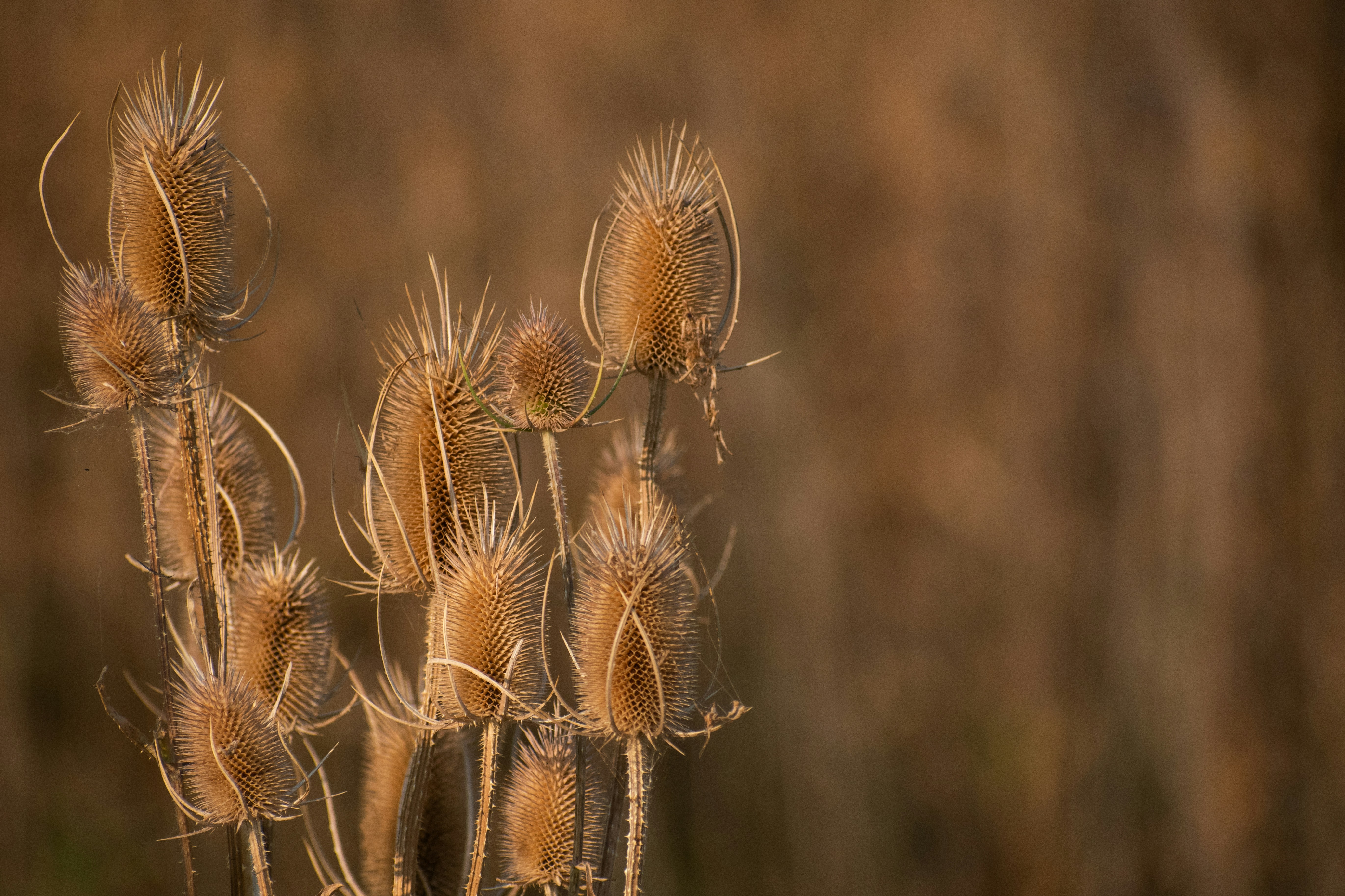 Photo by elisastonephotography