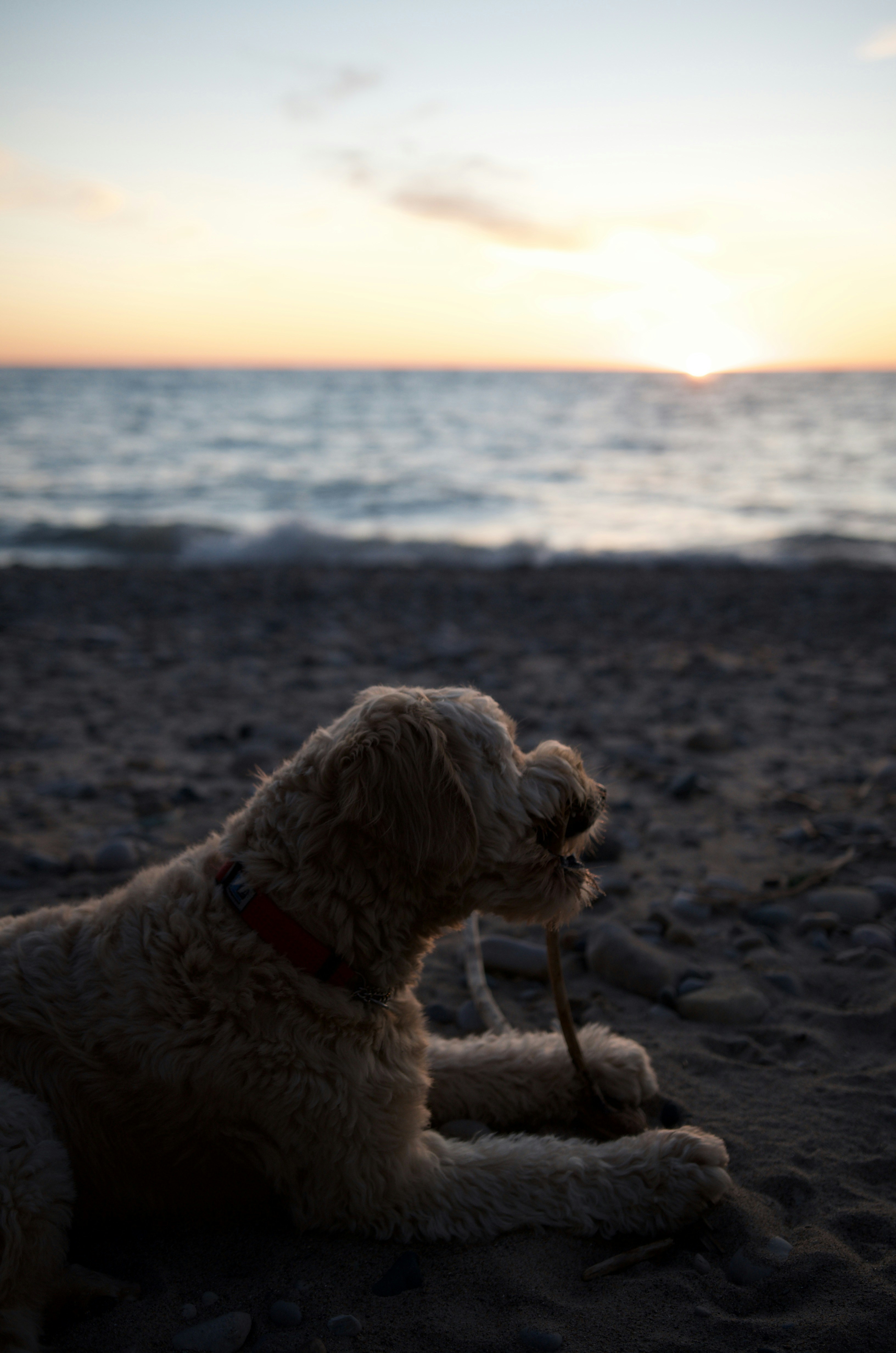 Photo by lucasmanuel