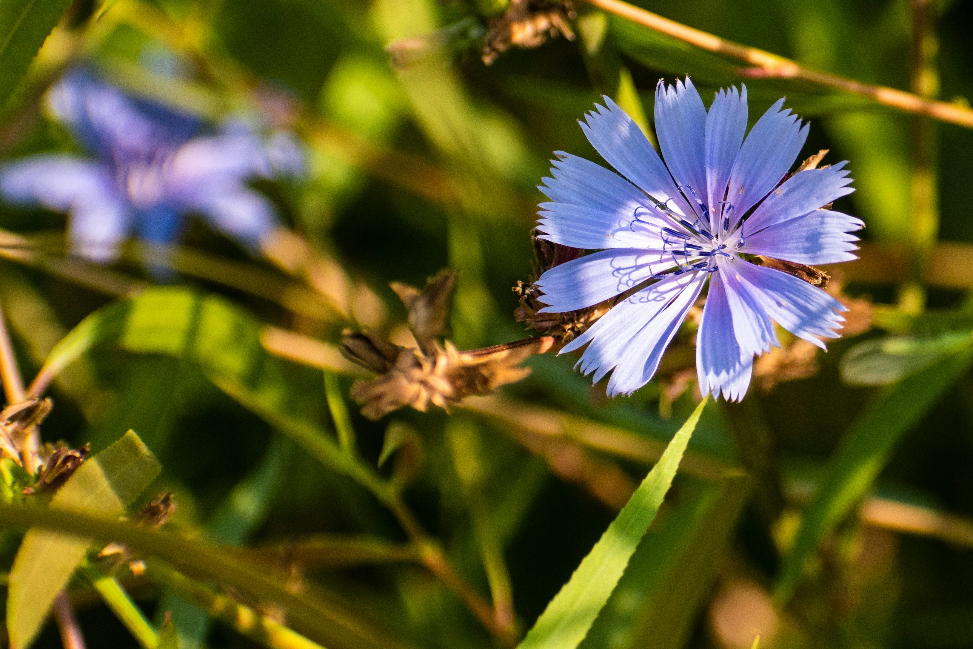 Photo by elisastonephotography