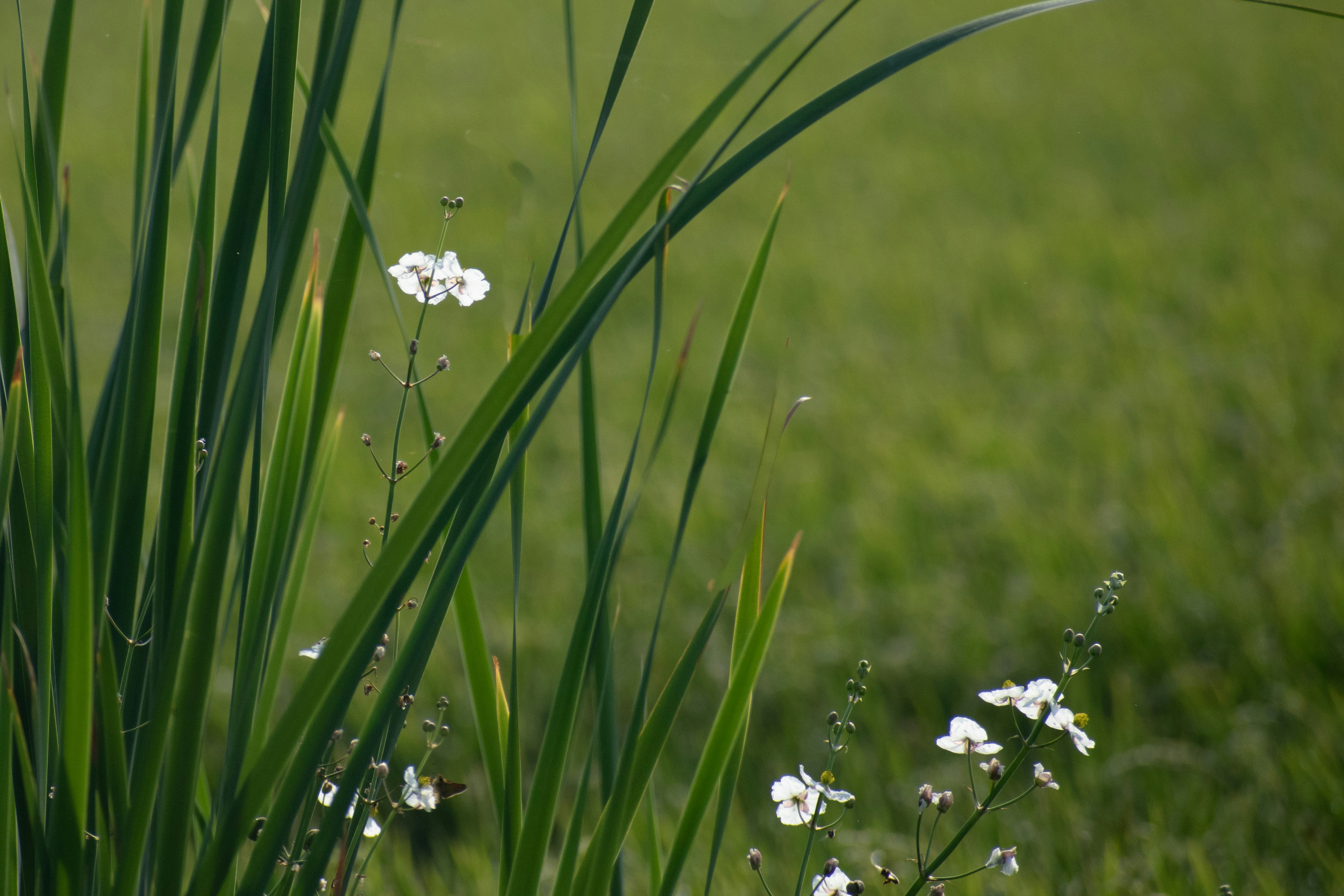 Photo by elisastonephotography