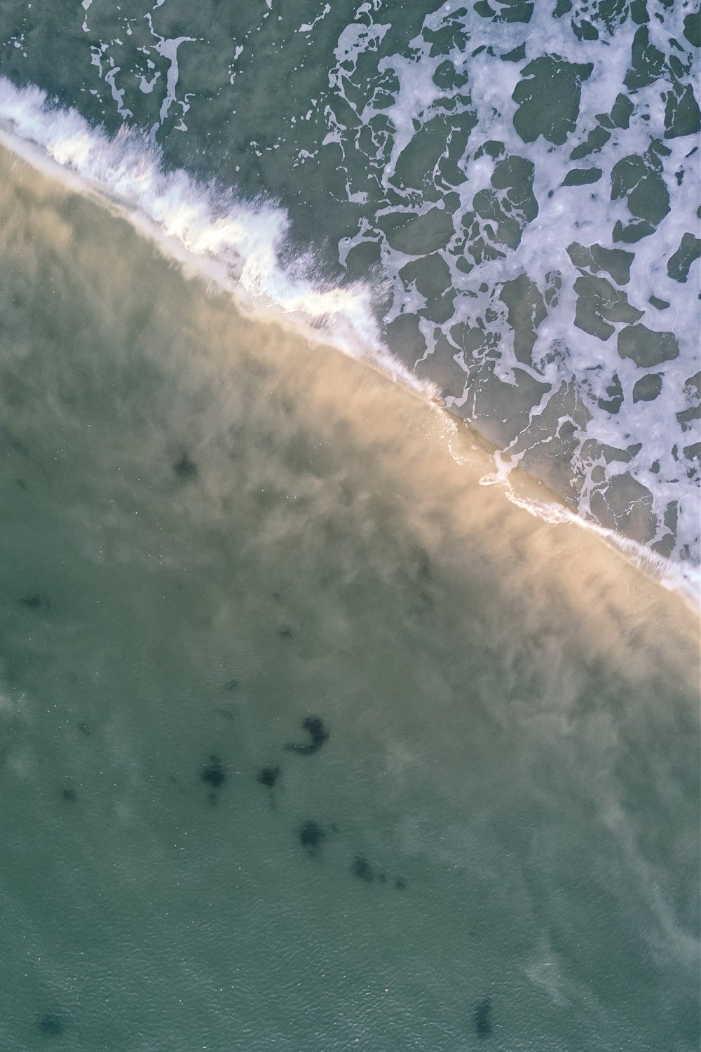 海の波の空中写真