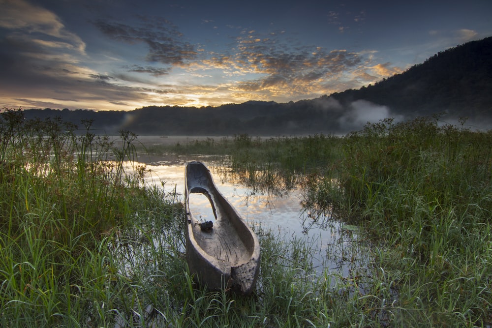 brown canoe on green grass field near lake under cloudy sky during daytime