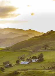 Rolling green hills stretch into the distance under a bright sky. A small farm is nestled in the valley, with a white house and barn surrounded by trees and pastures. Cows graze peacefully in the fields, while faint sunlight casts a golden hue over the scene.