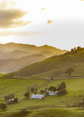 Rolling green hills stretch into the distance under a bright sky. A small farm is nestled in the valley, with a white house and barn surrounded by trees and pastures. Cows graze peacefully in the fields, while faint sunlight casts a golden hue over the scene.