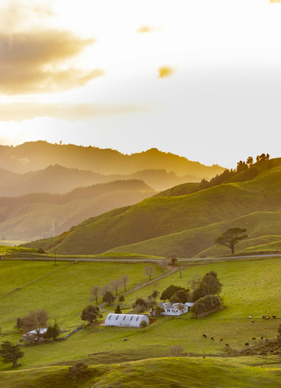 photo of Glen Massey Hill near Hakarimata Scenic Reserve