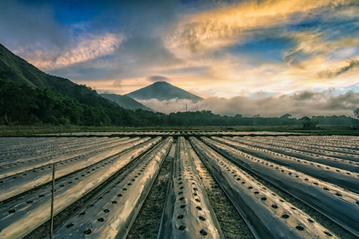Rows of plastic-covered farming plots stretch out toward a distant mountain partially veiled by clouds. The scene is framed by lush green hills and illuminated by a dramatic, colorful sky during sunset or sunrise.