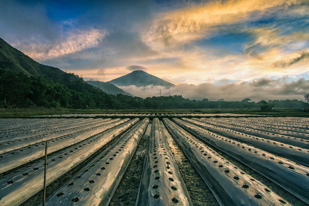 Road trip photo spot Sembalun Lawang Indonesia