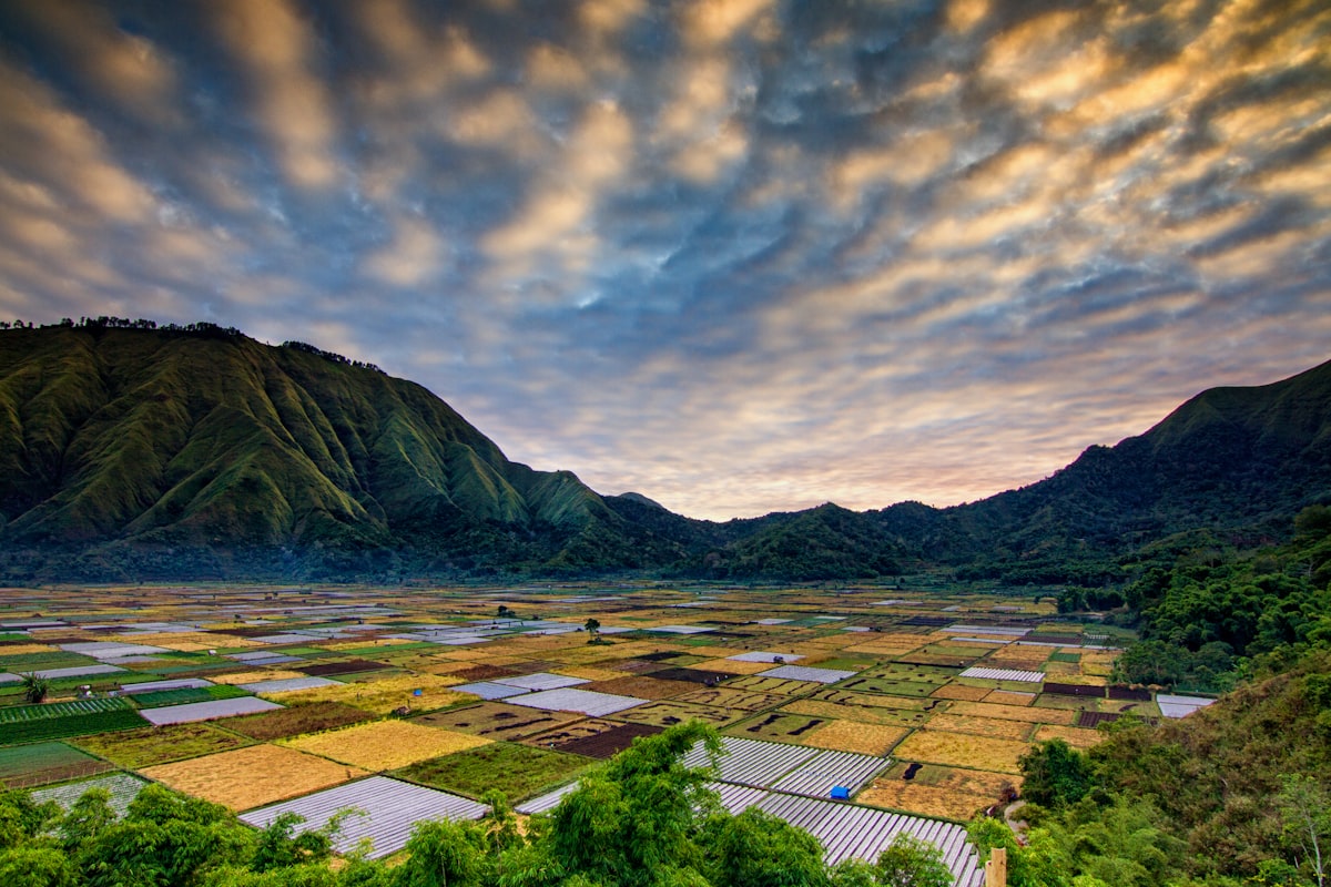 20 Beautiful Nature Names With Earthy Meanings