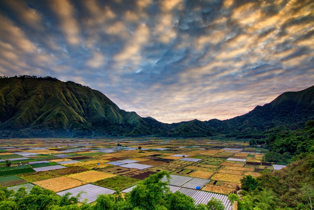 green grass field near mountain under cloudy sky during daytime