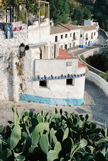 A quaint hillside village scene featuring whitewashed buildings with blue accents, surrounded by lush greenery and cacti in the foreground. An outdoor terrace with hanging laundry adds an authentic charm, while a winding cobblestone path leads through the village.