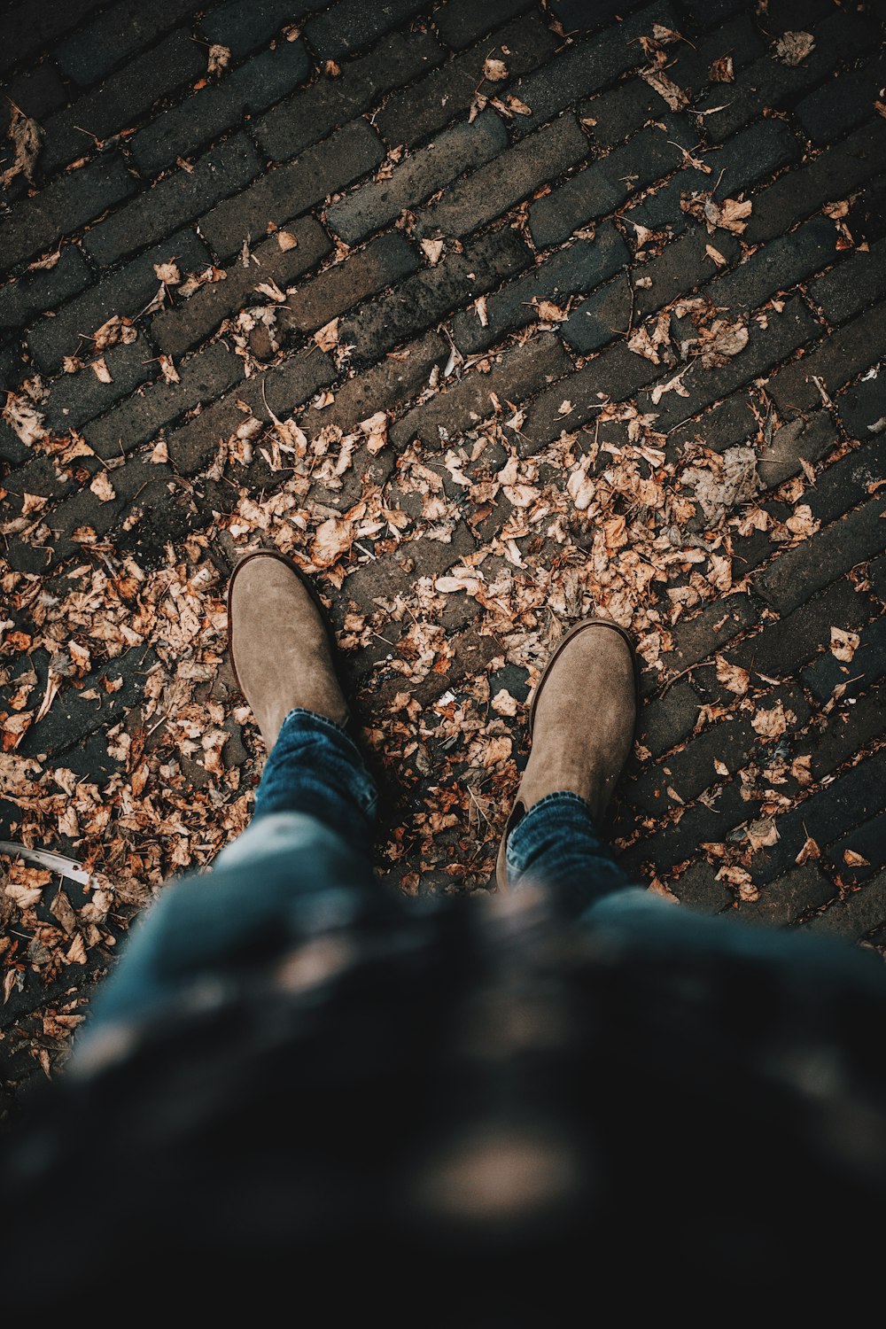 person in blue denim jeans and brown shoes standing on brown dried leaves