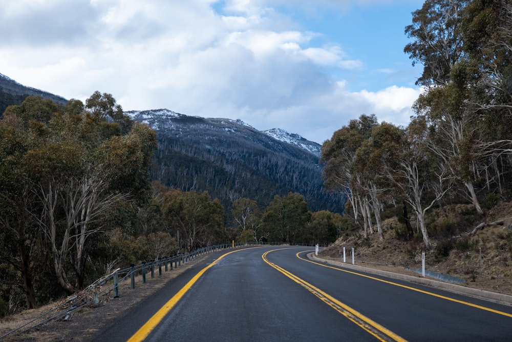 gray concrete road between green trees and mountain during daytime