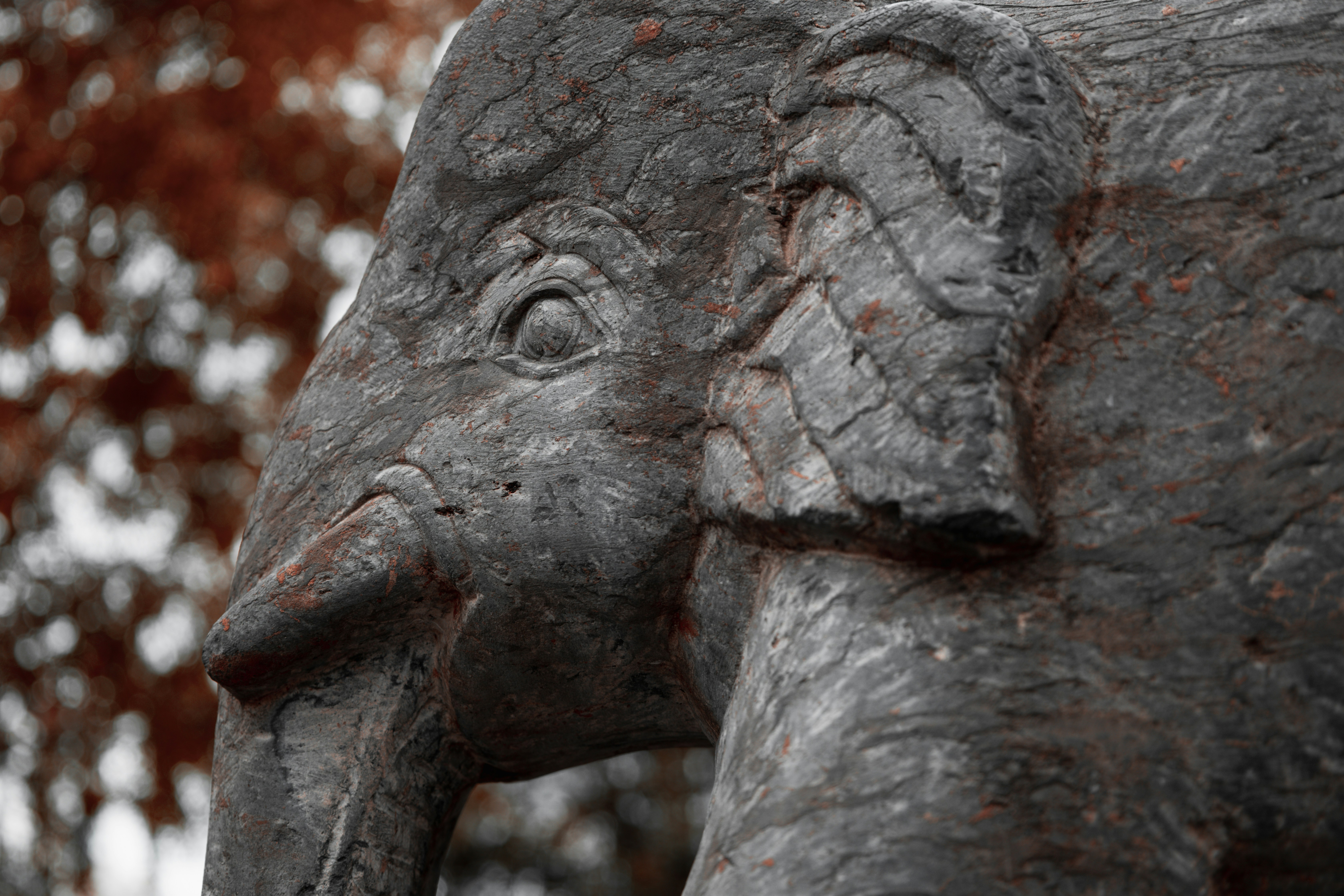 Photo by michael_marais