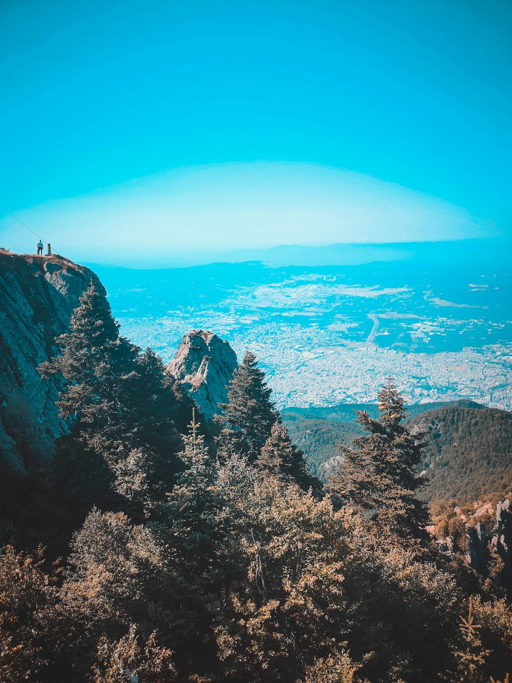 昼間の山の緑の木々