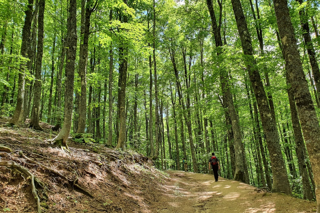 Forest photo spot Rieti Via Appia Antica