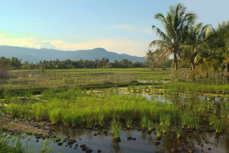 The Perfect One-Day Itinerary in Kampot: Where to Go and When