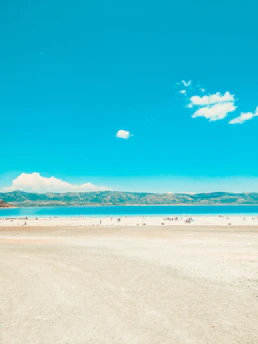 people on beach during daytime