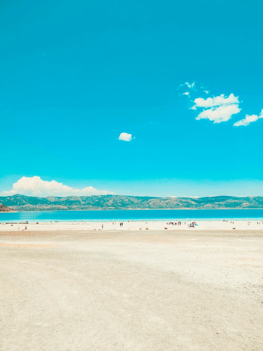 people on beach during daytime