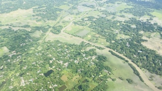 Aerial view of a lush green rural land with clear boundaries and a small river nearby.