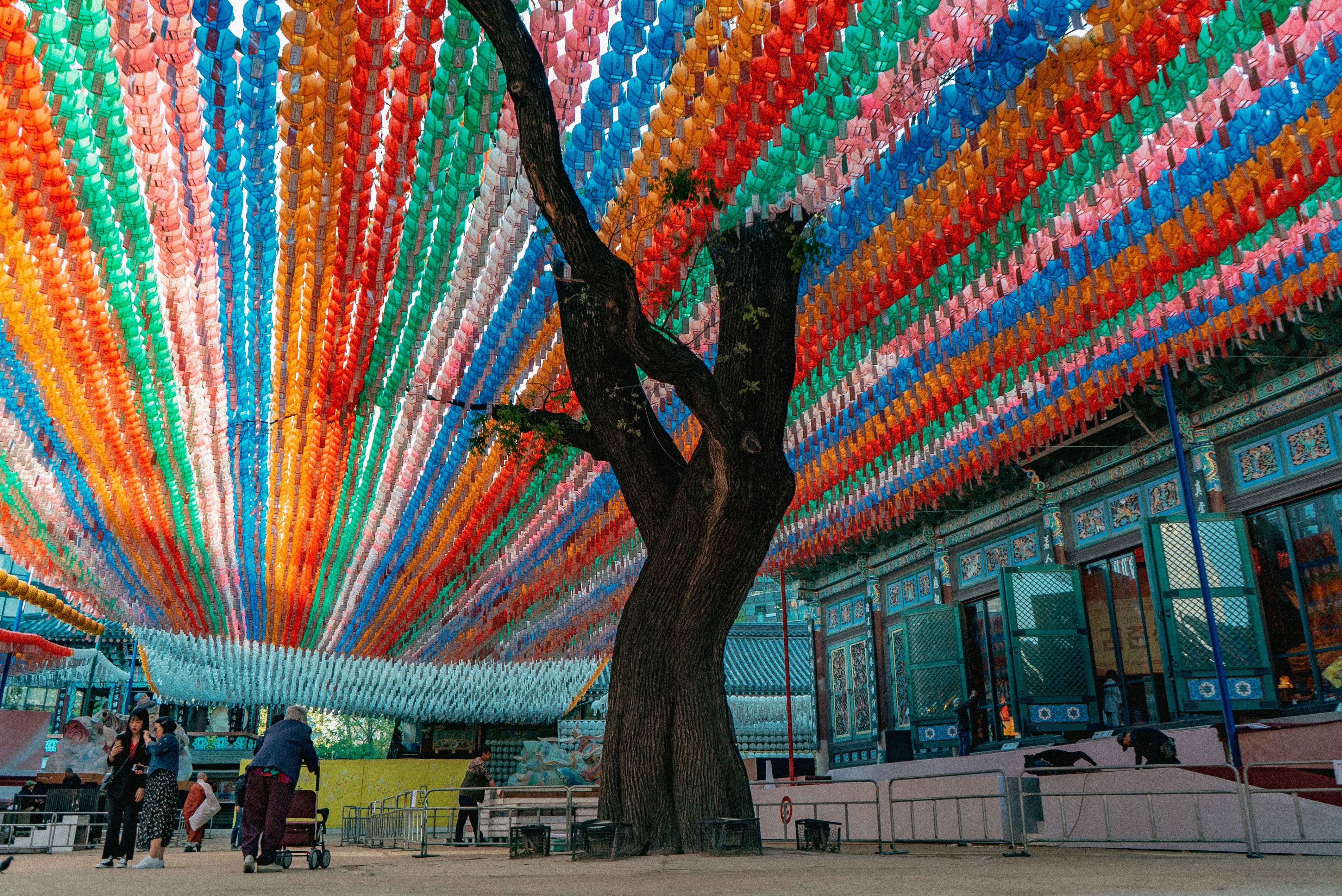 Jogyesa Temple photo 2