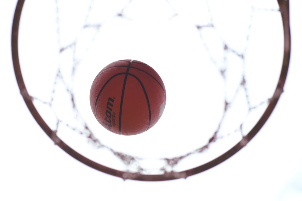 basketball hoop in close up photography