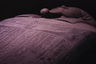 A detailed close-up of ancient Egyptian tomb carvings from Asasif.