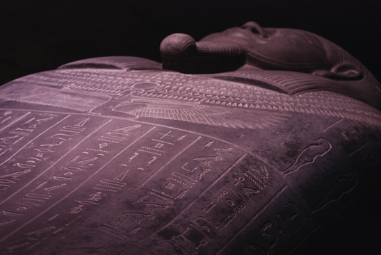 A detailed close-up of ancient Egyptian tomb carvings from Asasif.