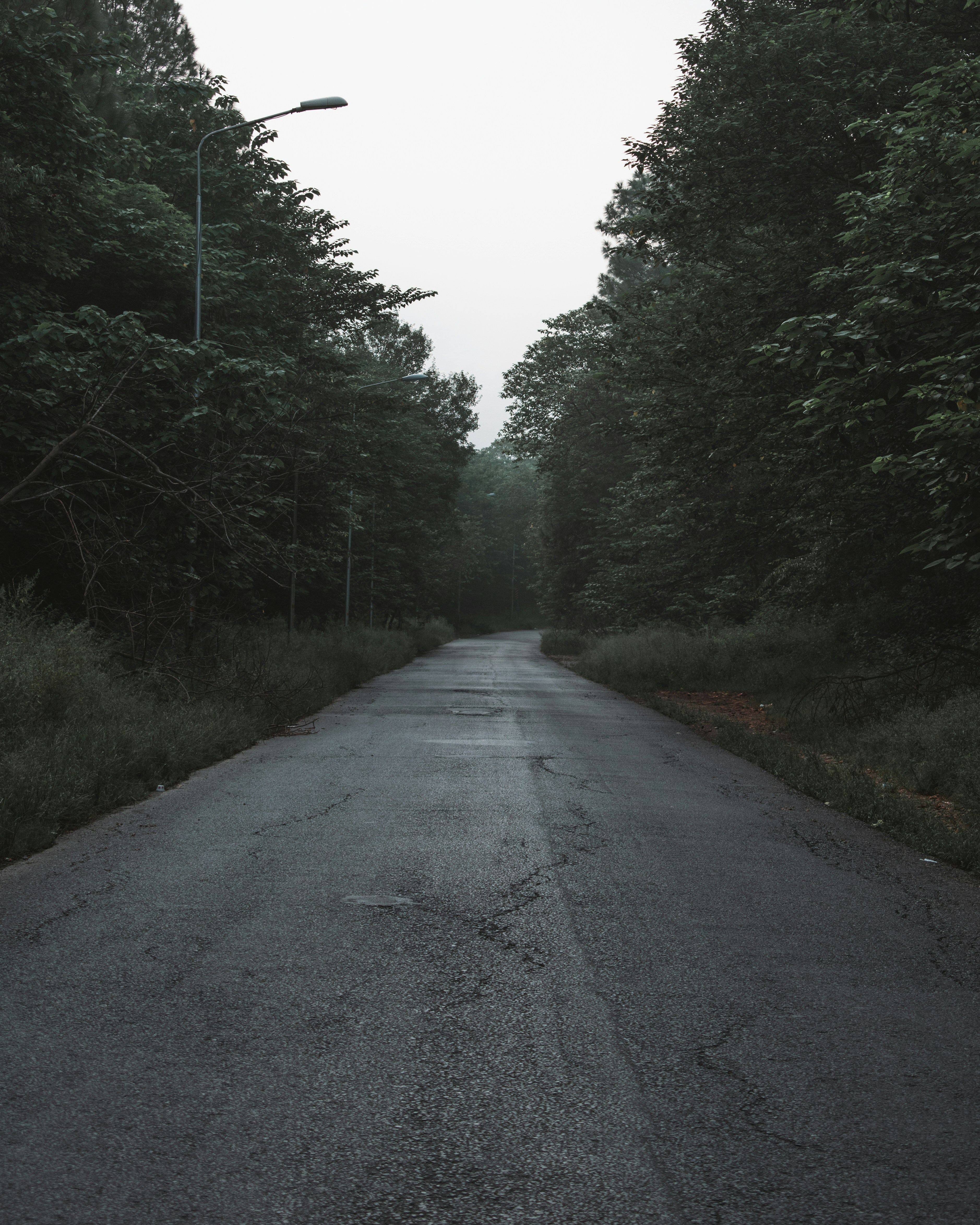 Photo by abdullah_photography