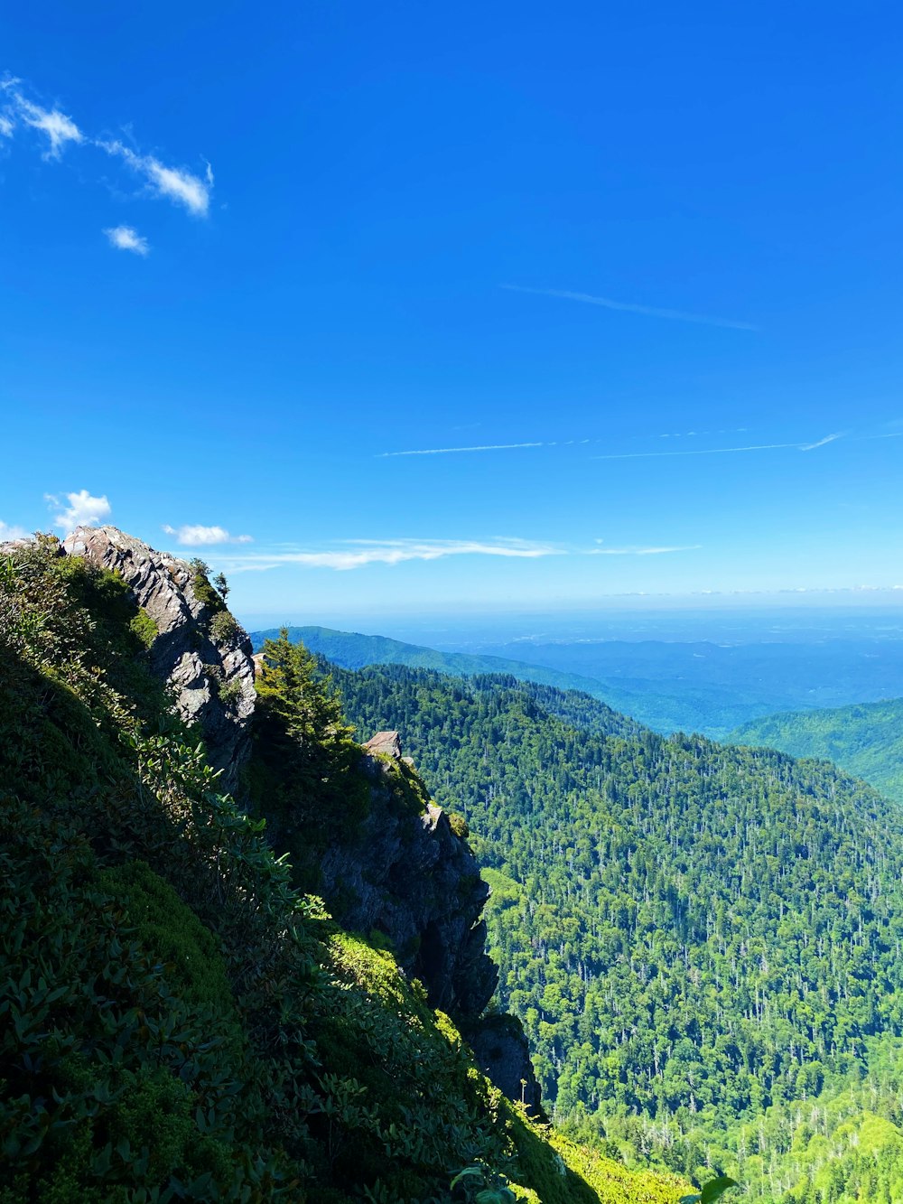 昼間の青空に緑の山