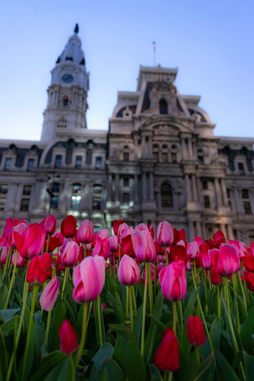 red tulips in front of brown concrete building during daytime