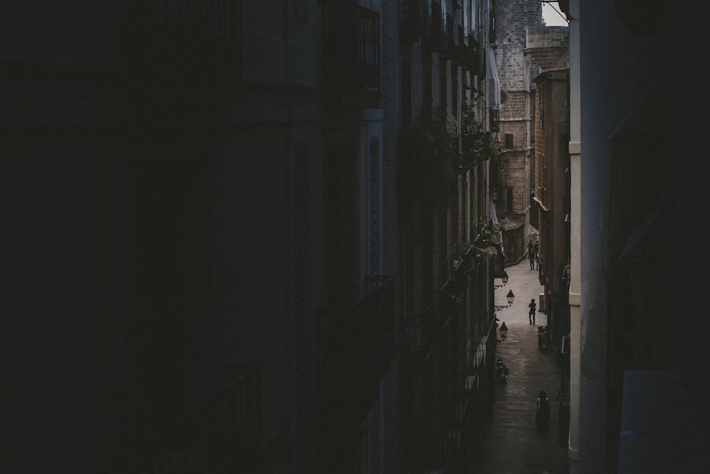 people walking on street during daytime