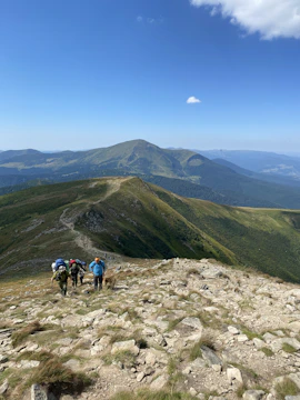 Scouts hiking through lush green trails in the Swiss Alps under a clear blue sky.